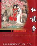 红楼梦涇史